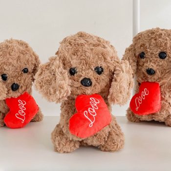 Peluche perro con corazon